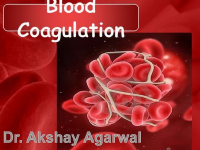 Blood coagulation.pptx